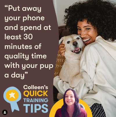 Quick Tips Episode 16: Bonding With Your Dog
