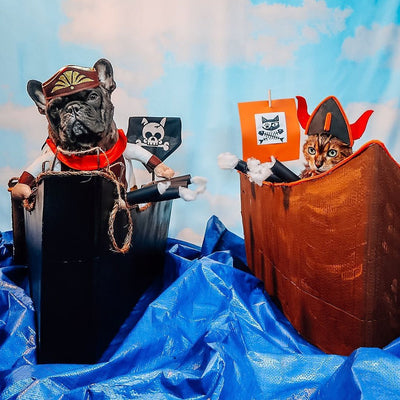 Pet ‘n Shape’s 5th Annual Howl-O-ween Costume Contest Winners